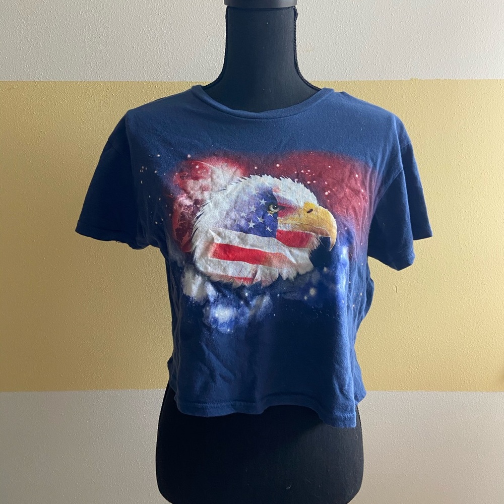 Bald Eagle Crop